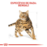 FBN BENGAL - ESPECIFICO DE RAZA.png